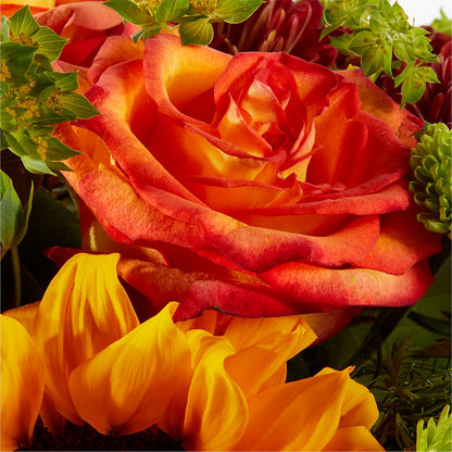 Harvest Festival Bouquet –  Rhea Flower Shop, Toronto ON