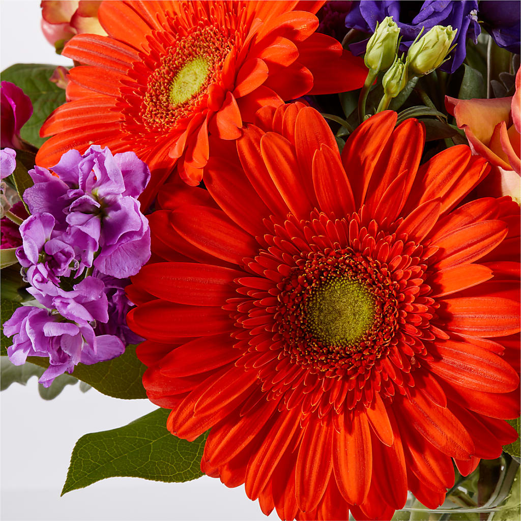 Sangria Bouquet –  Rhea Flower Shop, Toronto ON