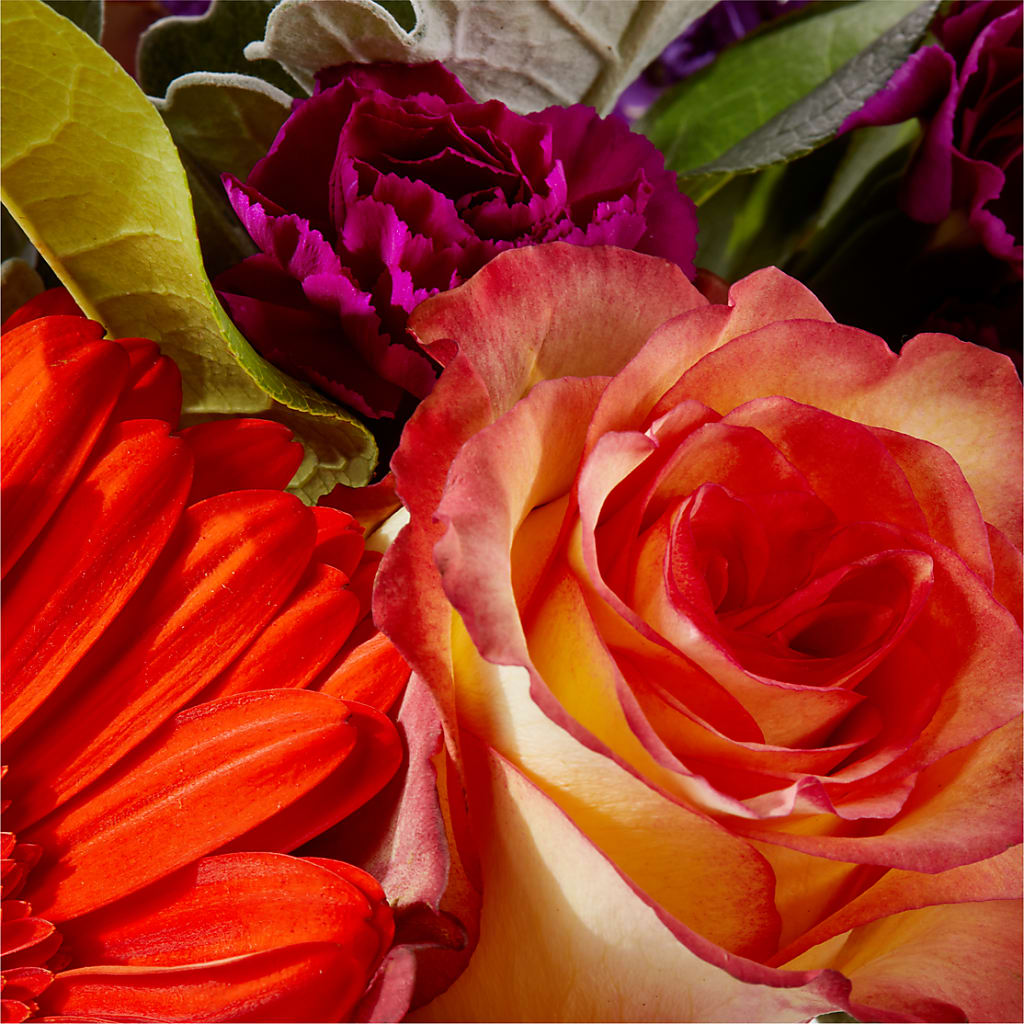 Sangria Bouquet –  Rhea Flower Shop, Toronto ON