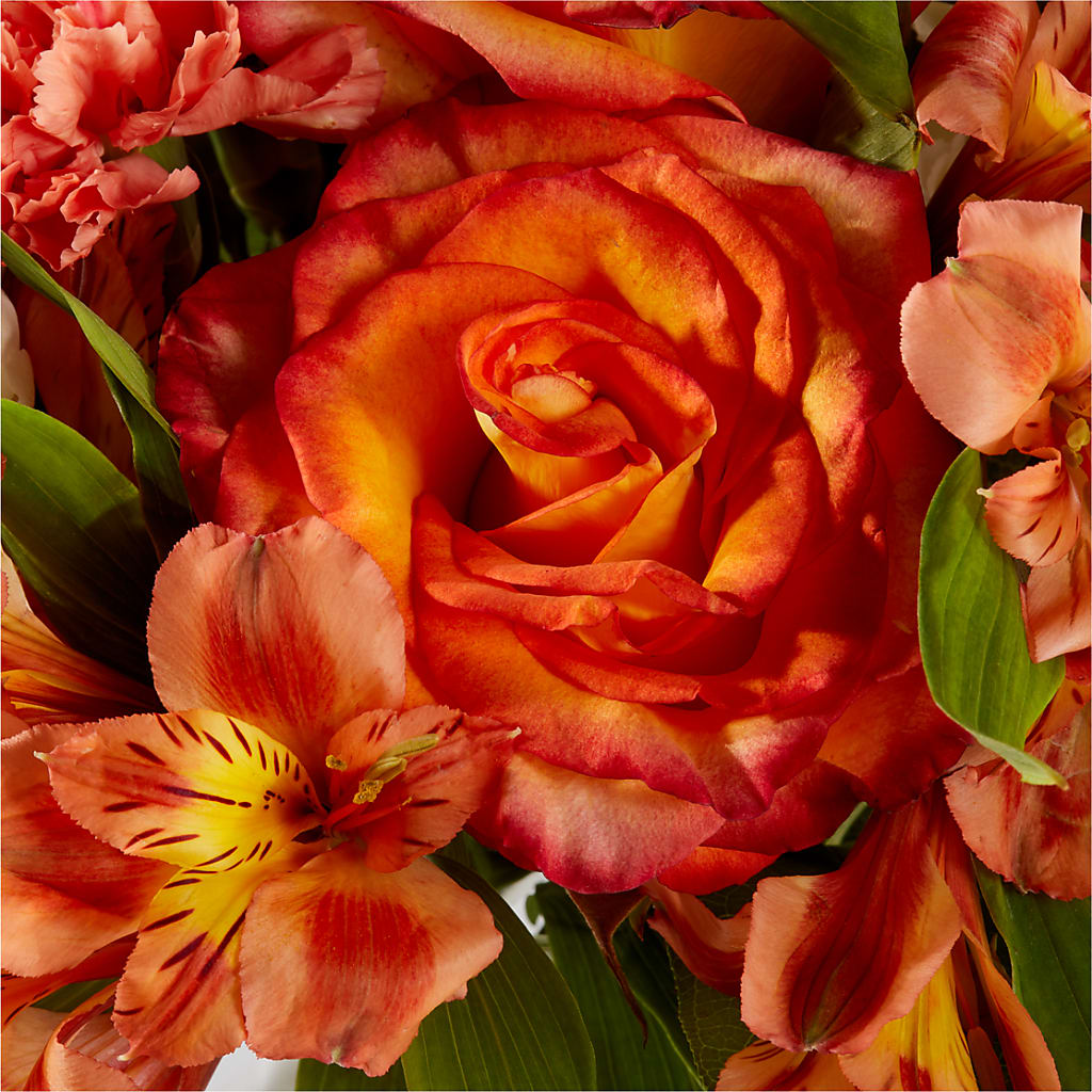 Apricot Glow Bouquet –  Rhea Flower Shop, Toronto ON