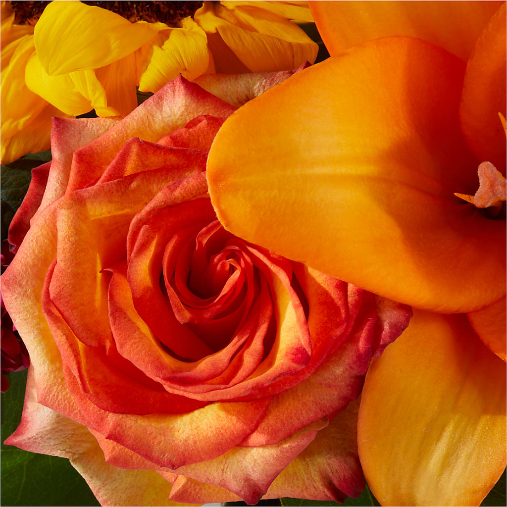 Grateful Centerpiece –  Rhea Flower Shop, Toronto ON
