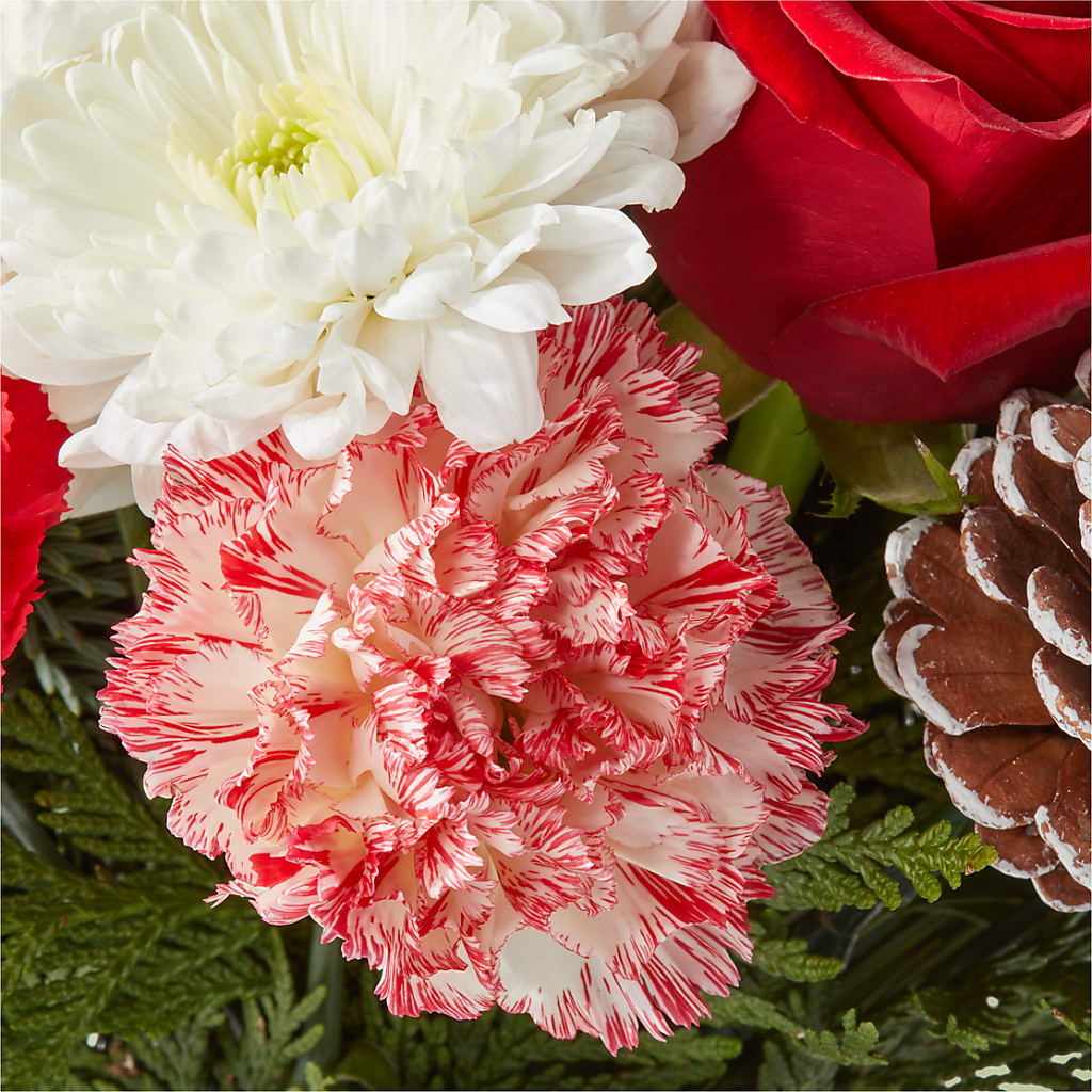 Candy Cane Lane Bouquet –  Rhea Flower Shop, Toronto ON