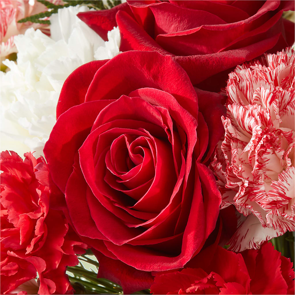 Candy Cane Lane Bouquet –  Rhea Flower Shop, Toronto ON