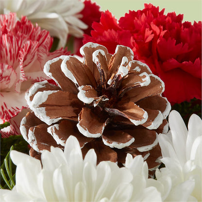 Candy Cane Lane Bouquet –  Rhea Flower Shop, Toronto ON