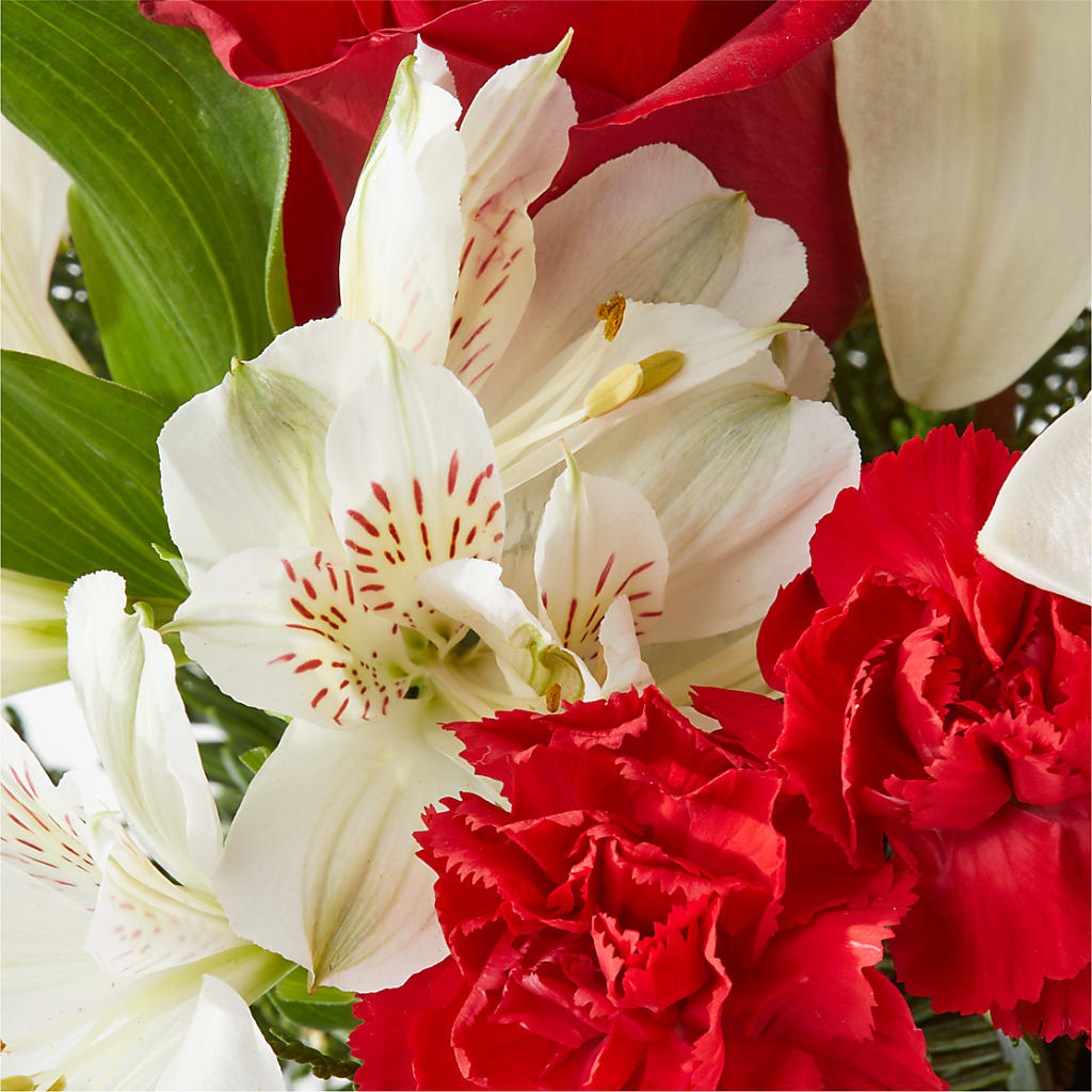 Holiday Season Bouquet –  Rhea Flower Shop, Toronto ON