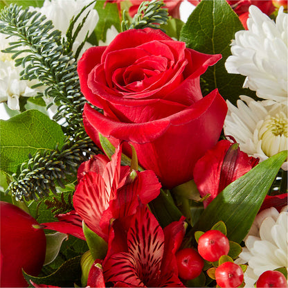 Letters to Santa Bouquet –  Rhea Flower Shop, Toronto ON