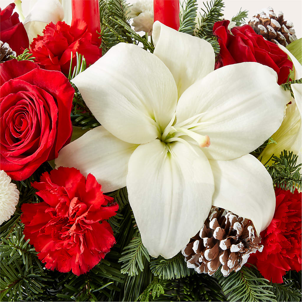 Seasonal Festivities Centerpiece –  Rhea Flower Shop, Toronto ON