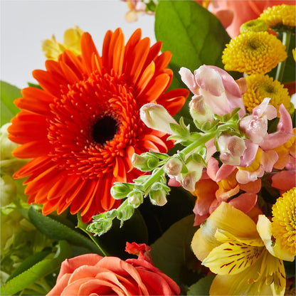 Autumn Sunshine Bouquet –  Rhea Flower Shop, Toronto ON