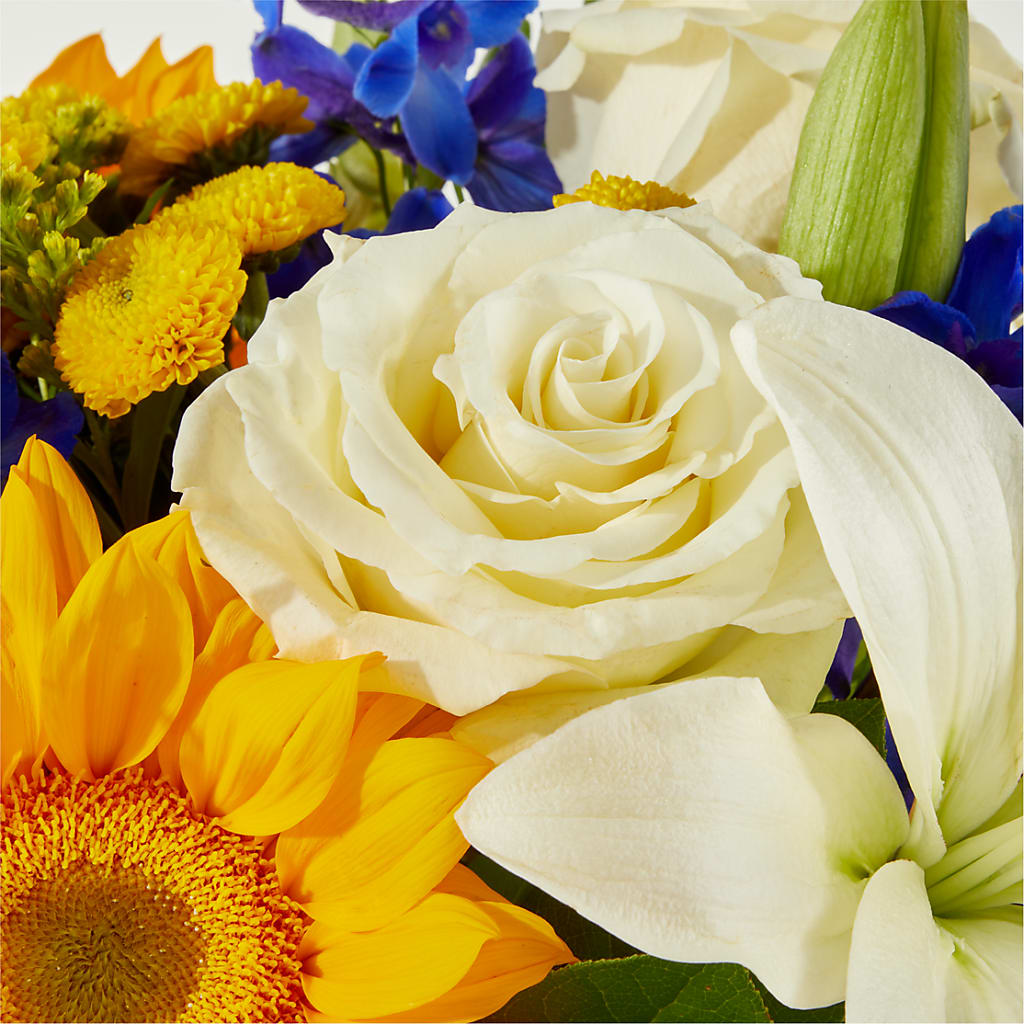 Stargazing Bouquet –  Rhea Flower Shop, Toronto ON