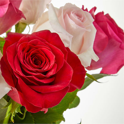 Charming Rose Bouquet –  Rhea Flower Shop, Toronto ON