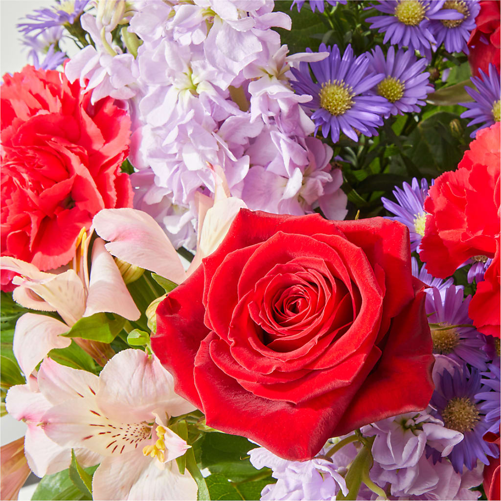 Your Majesty Bouquet –  Rhea Flower Shop, Toronto ON