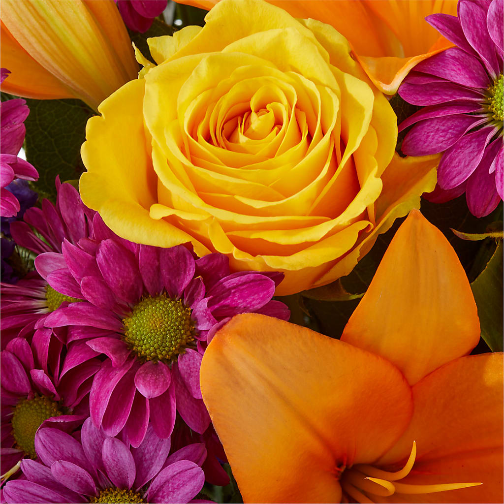 Colorful Visions Bouquet –  Rhea Flower Shop, Toronto ON