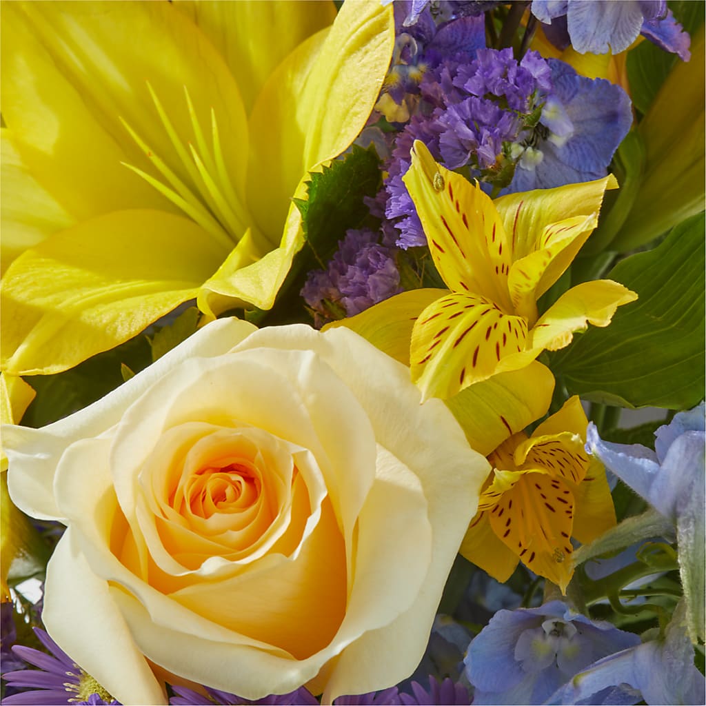 Limoncello Bouquet –  Rhea Flower Shop, Toronto ON