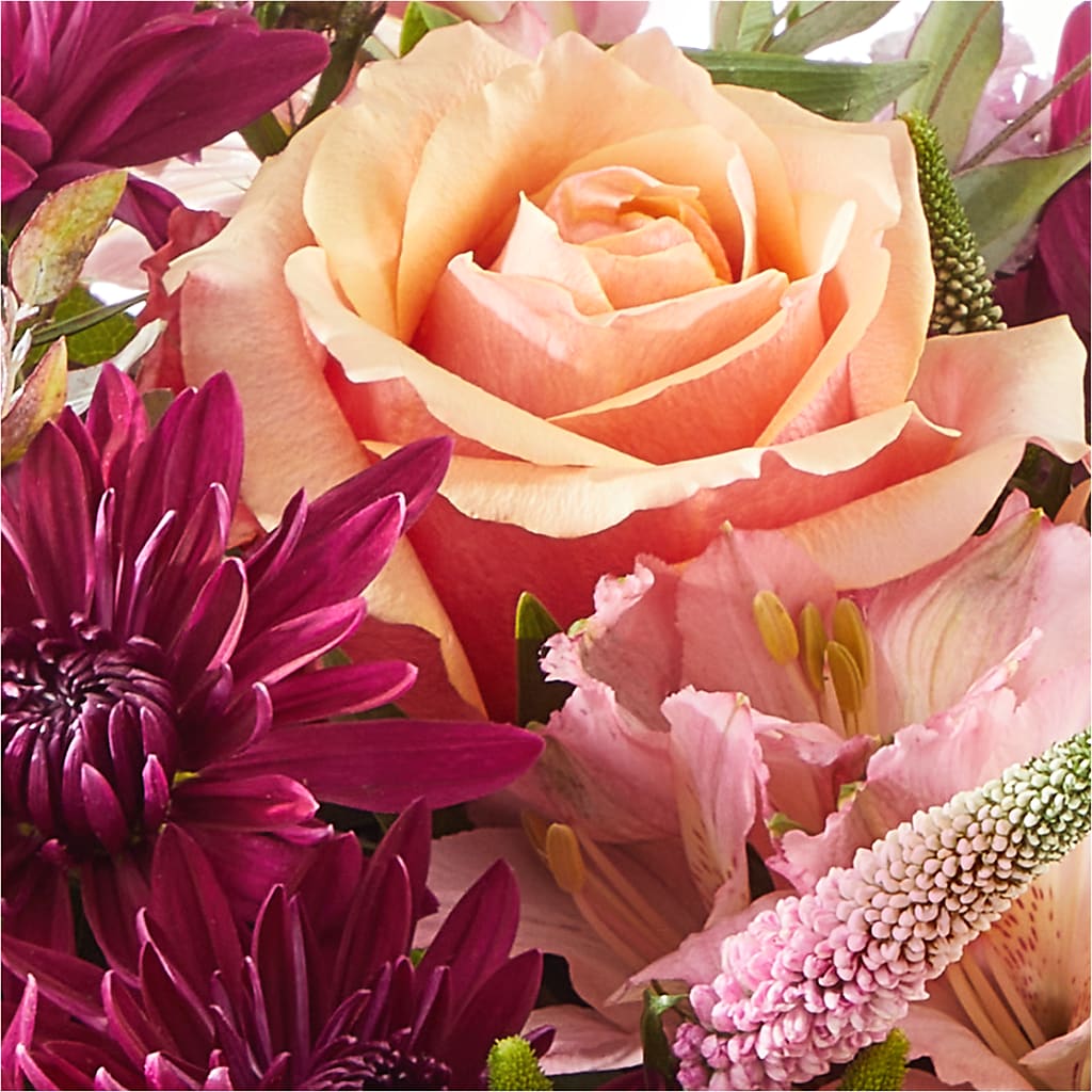 Berry Cobbler Bouquet –  Rhea Flower Shop, Toronto ON