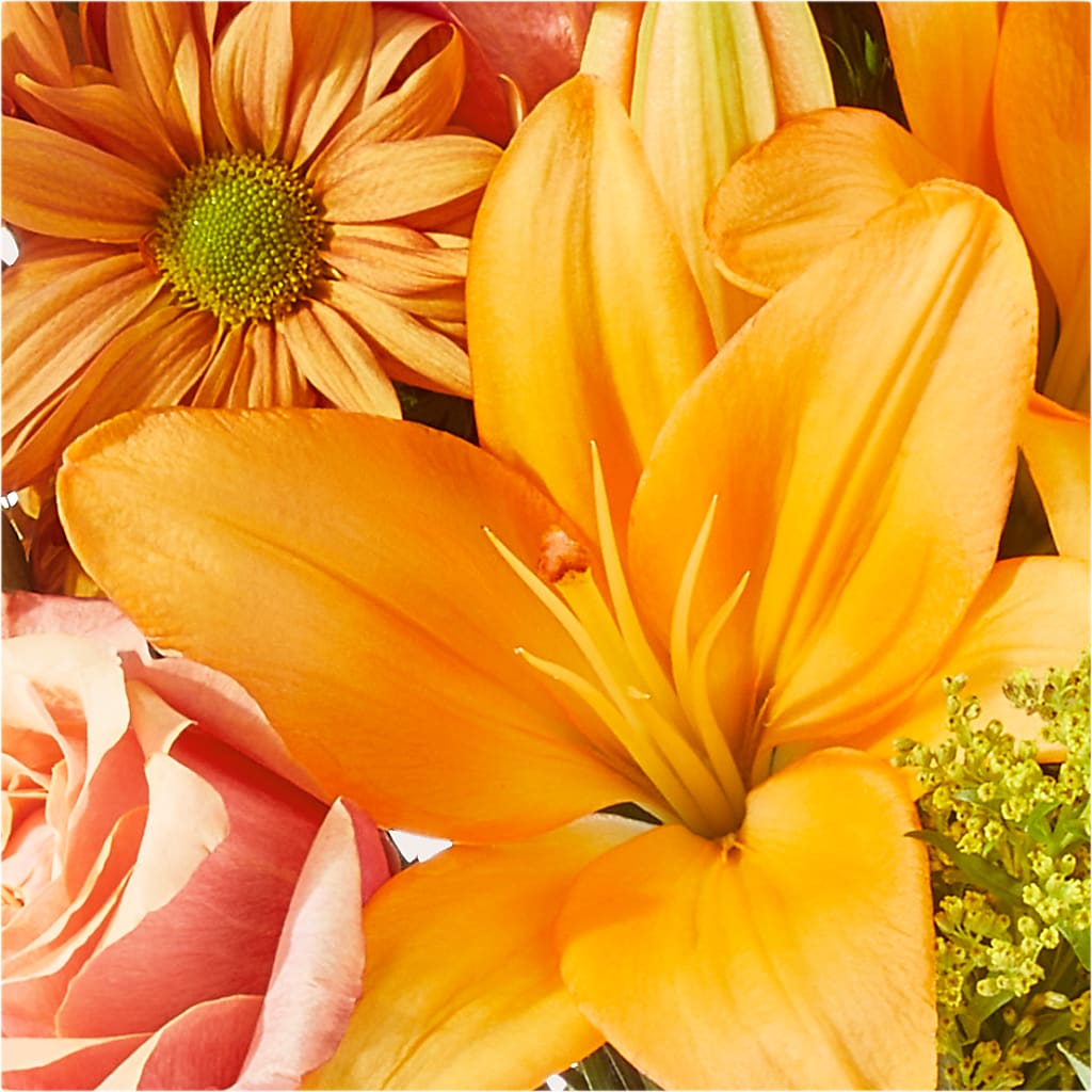 Harvest Hayride Bouquet –  Rhea Flower Shop, Toronto ON