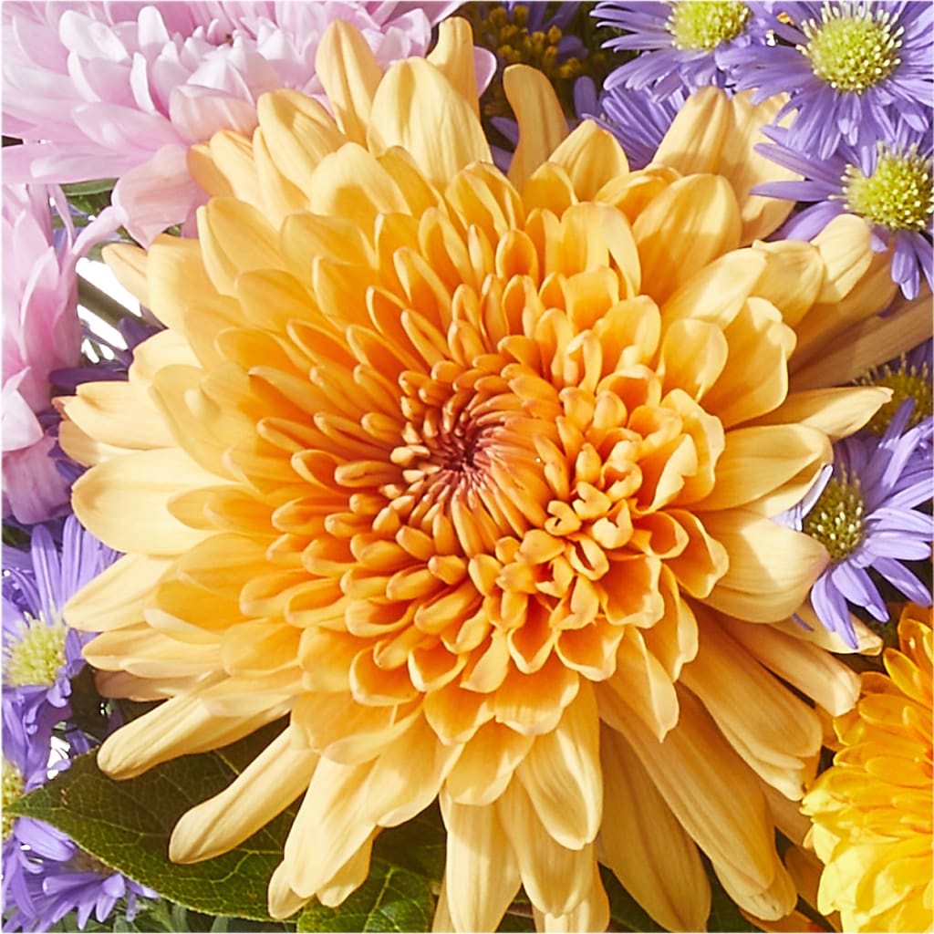 Countryside Bouquet –  Rhea Flower Shop, Toronto ON
