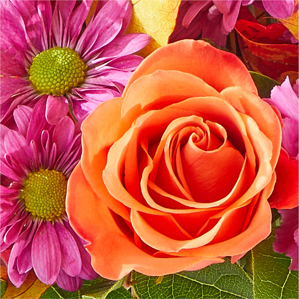 Mum's the Word Bouquet –  Rhea Flower Shop, Toronto ON