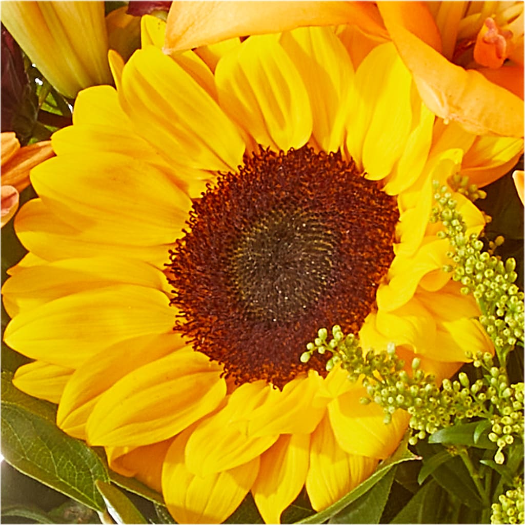 Seasons Change Bouquet –  Rhea Flower Shop, Toronto ON