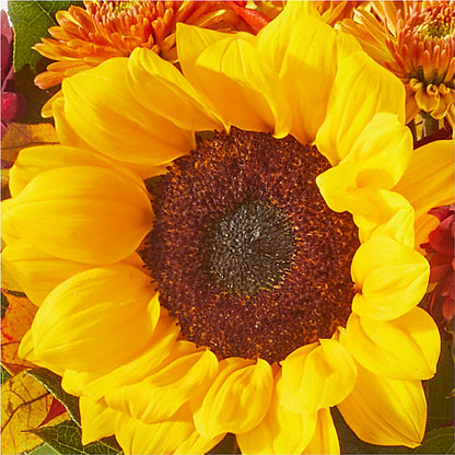 Sunny Side Bouquet –  Rhea Flower Shop, Toronto ON