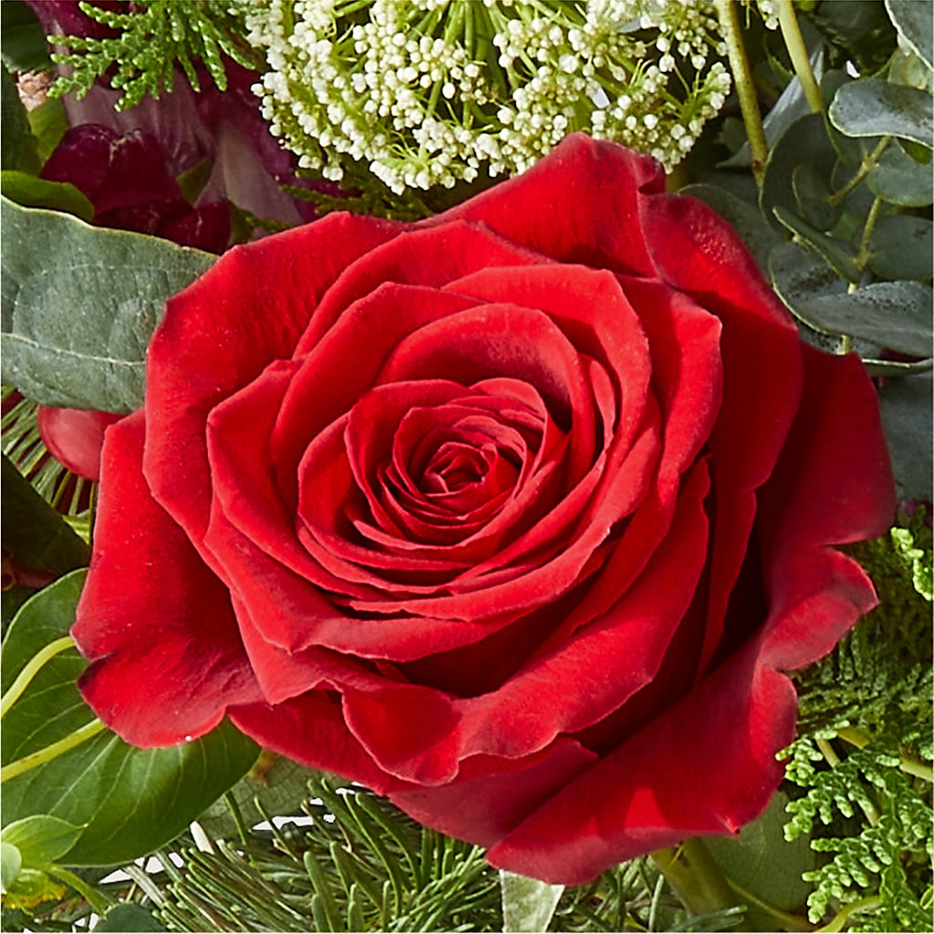 Cranberry Fizz Bouquet –  Rhea Flower Shop, Toronto ON