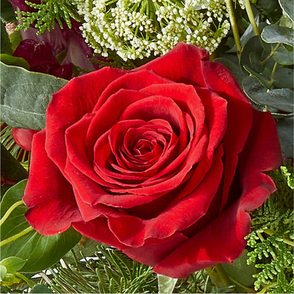 Cranberry Fizz Bouquet –  Rhea Flower Shop, Toronto ON