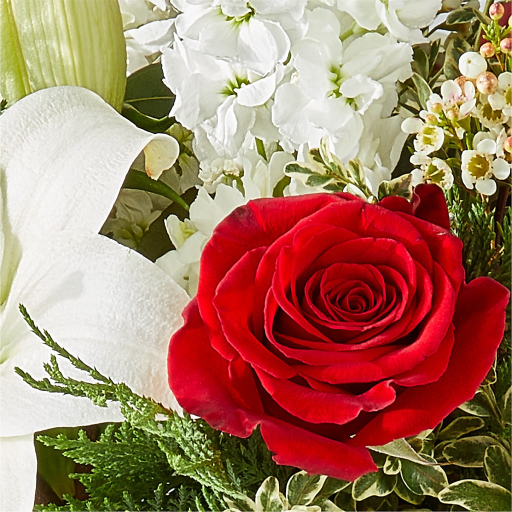 Twinkle Lights Bouquet –  Rhea Flower Shop, Toronto ON