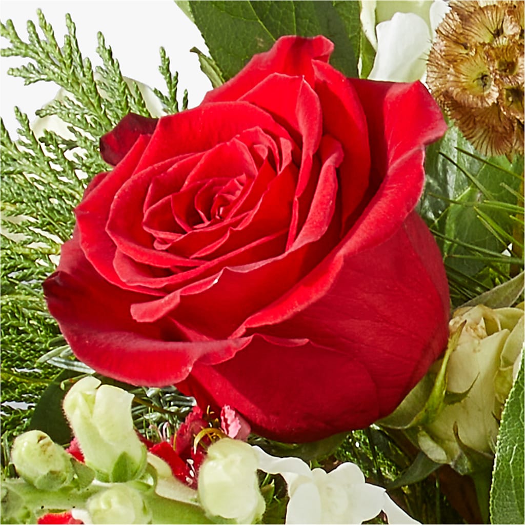 Deck the Halls Bouquet –  Rhea Flower Shop, Toronto ON