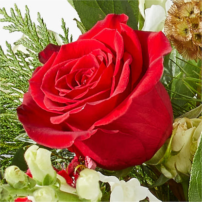 Deck the Halls Bouquet –  Rhea Flower Shop, Toronto ON