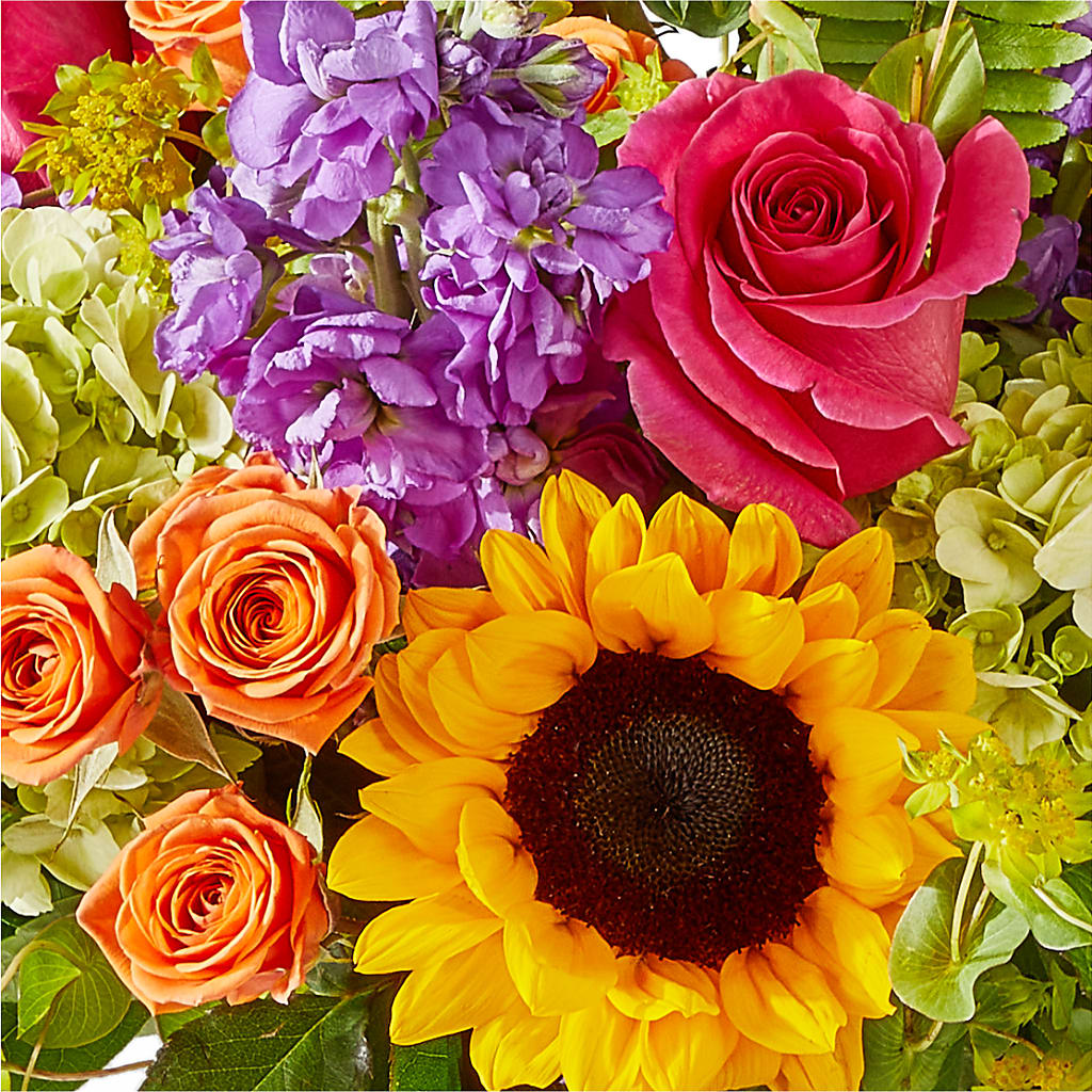 Vibrant Greetings Bouquet –  Rhea Flower Shop, Toronto ON