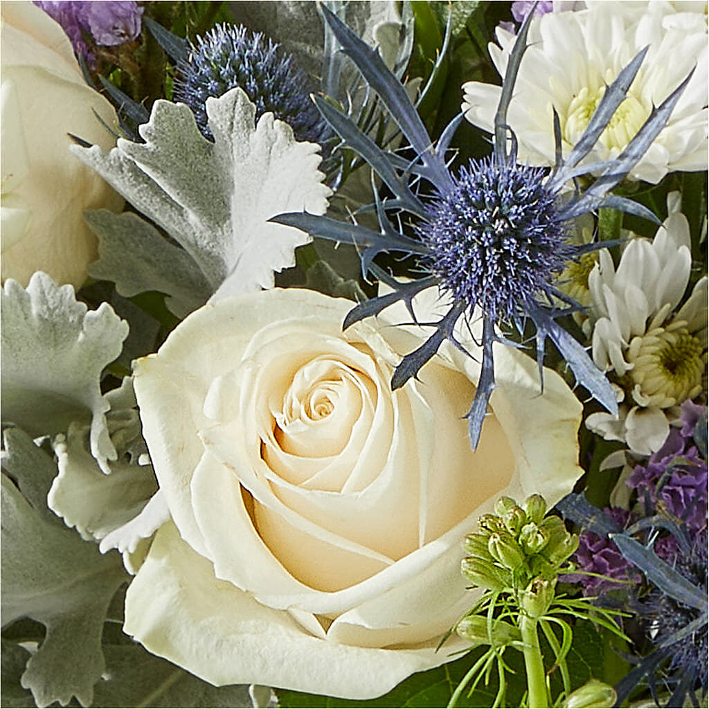 Shooting Star Bouquet –  Rhea Flower Shop, Toronto ON