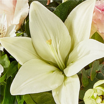 Ballet Slippers Bouquet –  Rhea Flower Shop, Toronto ON