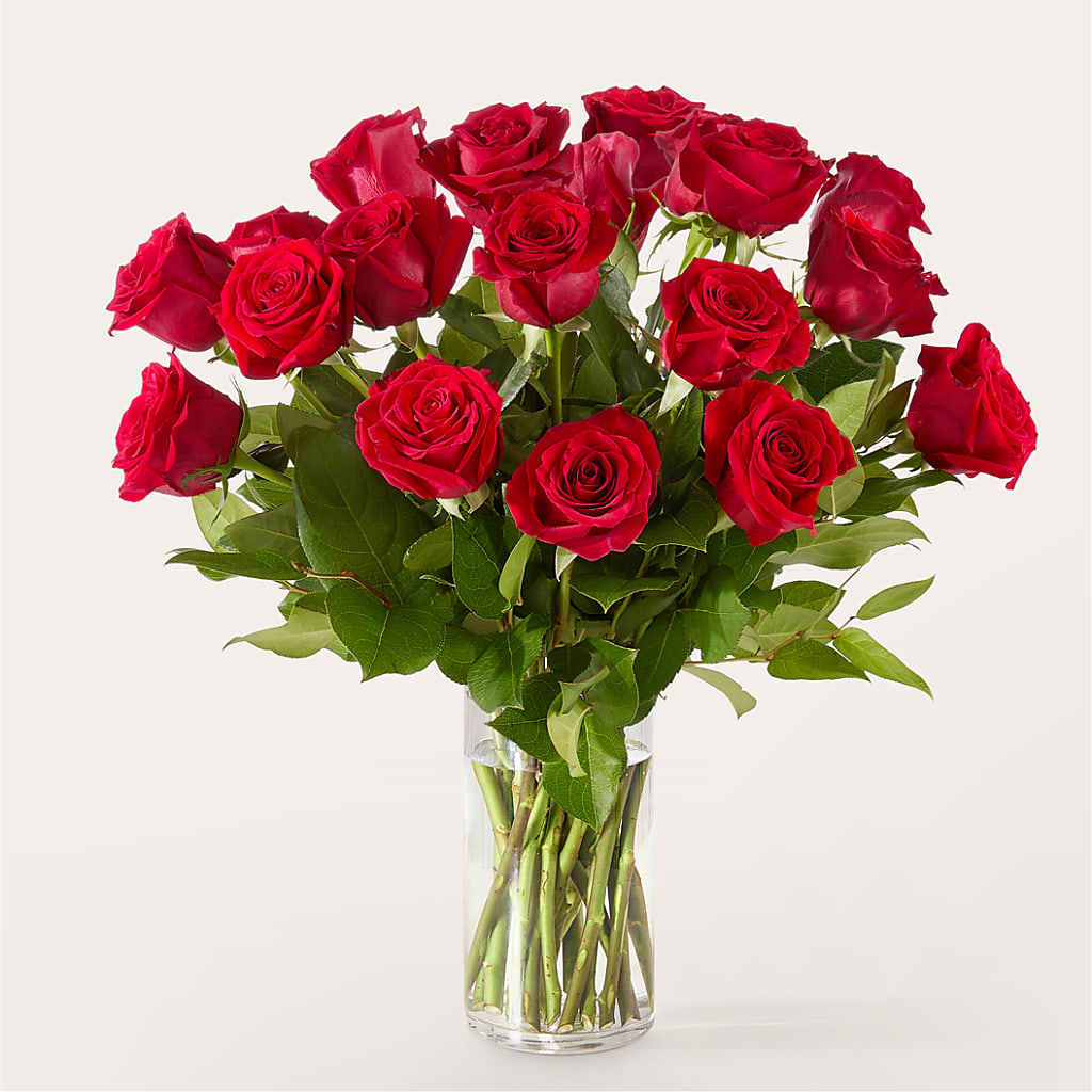 The One Red Rose Bouquet –  Rhea Flower Shop, Toronto ON