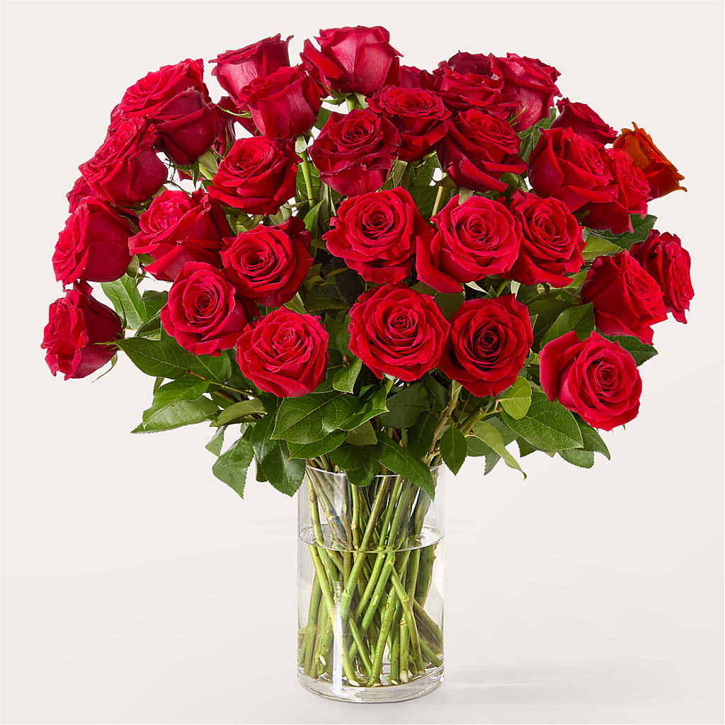 The One Red Rose Bouquet –  Rhea Flower Shop, Toronto ON
