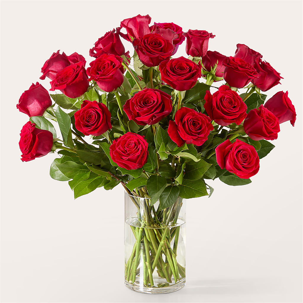 The One Red Rose Bouquet –  Rhea Flower Shop, Toronto ON