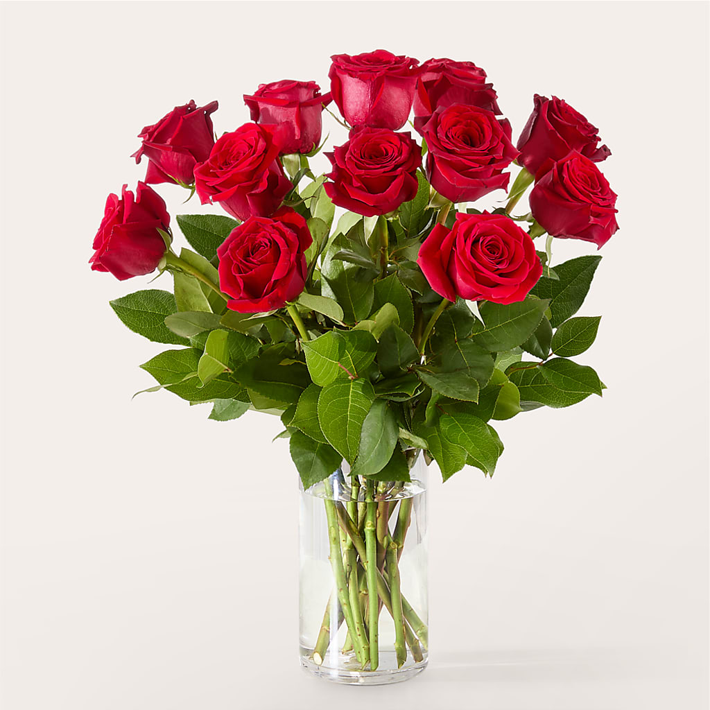 The One Red Rose Bouquet –  Rhea Flower Shop, Toronto ON