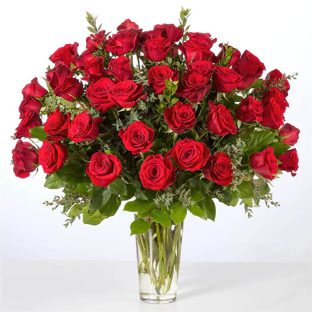 Forever Yours Fifty Stem Red Rose Bouquet –  Rhea Flower Shop, Toronto ON