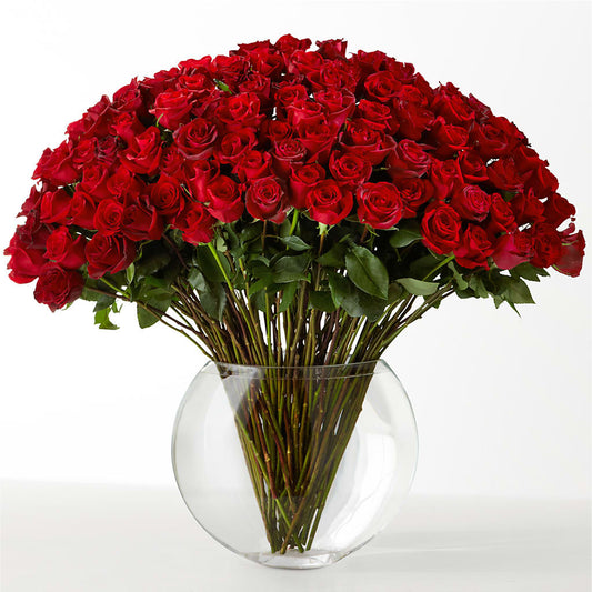The Idealist –  Rhea Flower Shop, Toronto ON