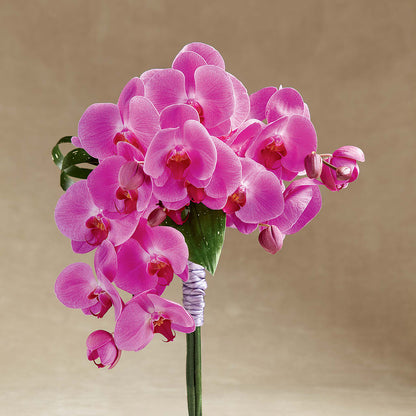 Glorious Bouquet –  Rhea Flower Shop, Toronto ON