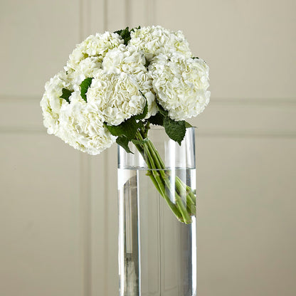 White Hydrangea Hand-Tied Bouquet –  Rhea Flower Shop, Toronto ON