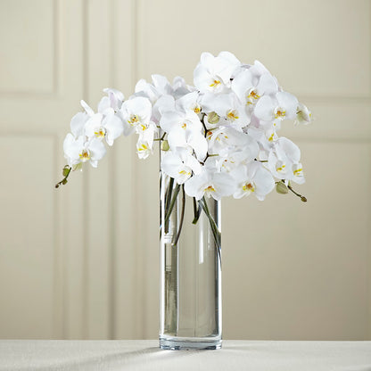 White Phalaenopsis Bouquet –  Rhea Flower Shop, Toronto ON