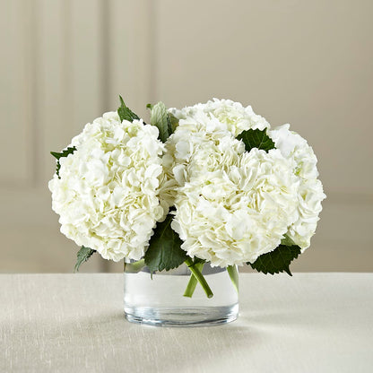 White Hydrangea Bouquet –  Rhea Flower Shop, Toronto ON